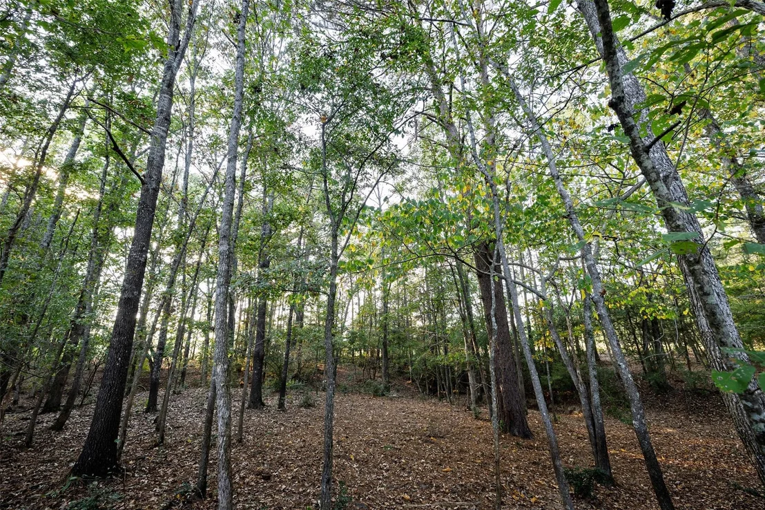 Photo of 973 County Road 2572