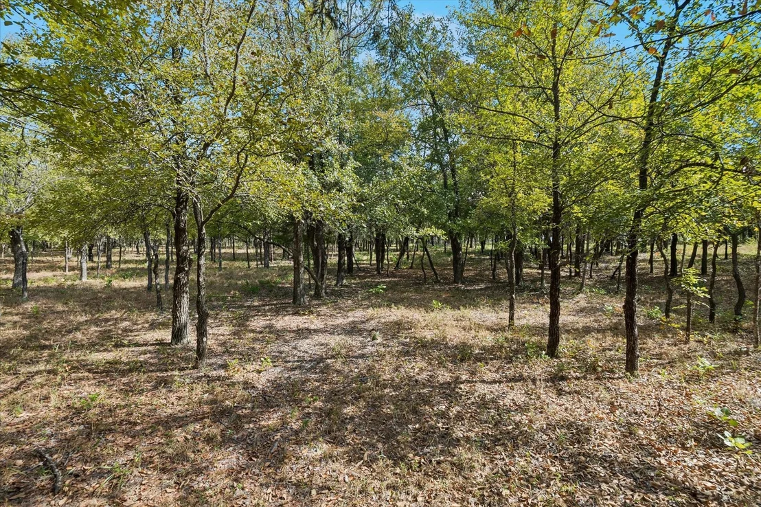 Photo of 8965 Indian Knoll Trail