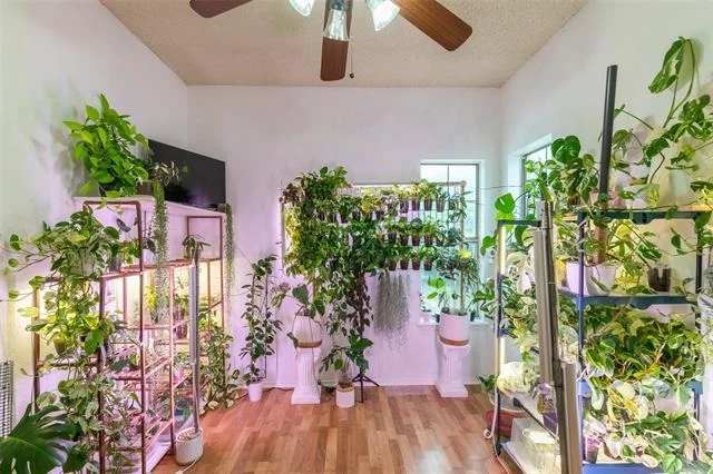 Photo of 7333 Clariece Drive