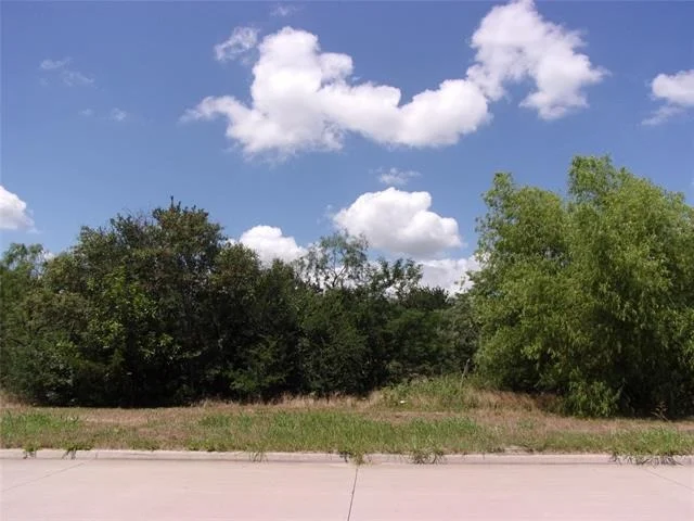 Photo of 4172 Willow Oak Bend