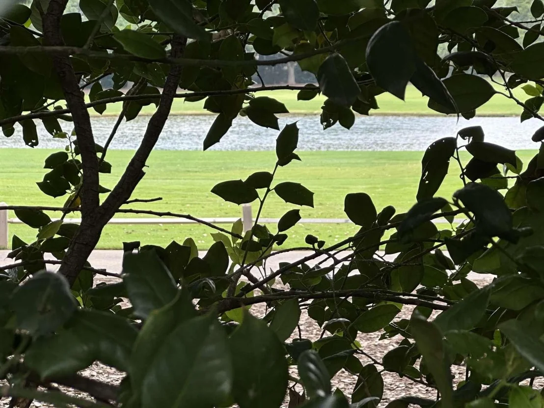 Photo of 5321 Bent Tree Drive