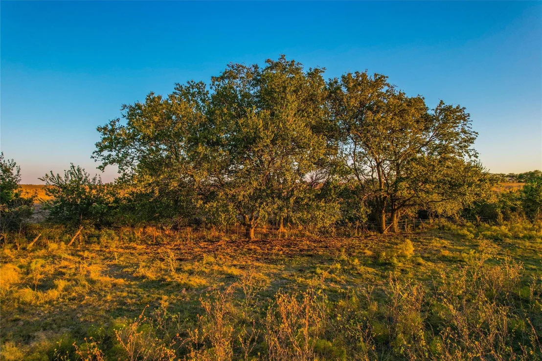 Photo of 515 County Road 262