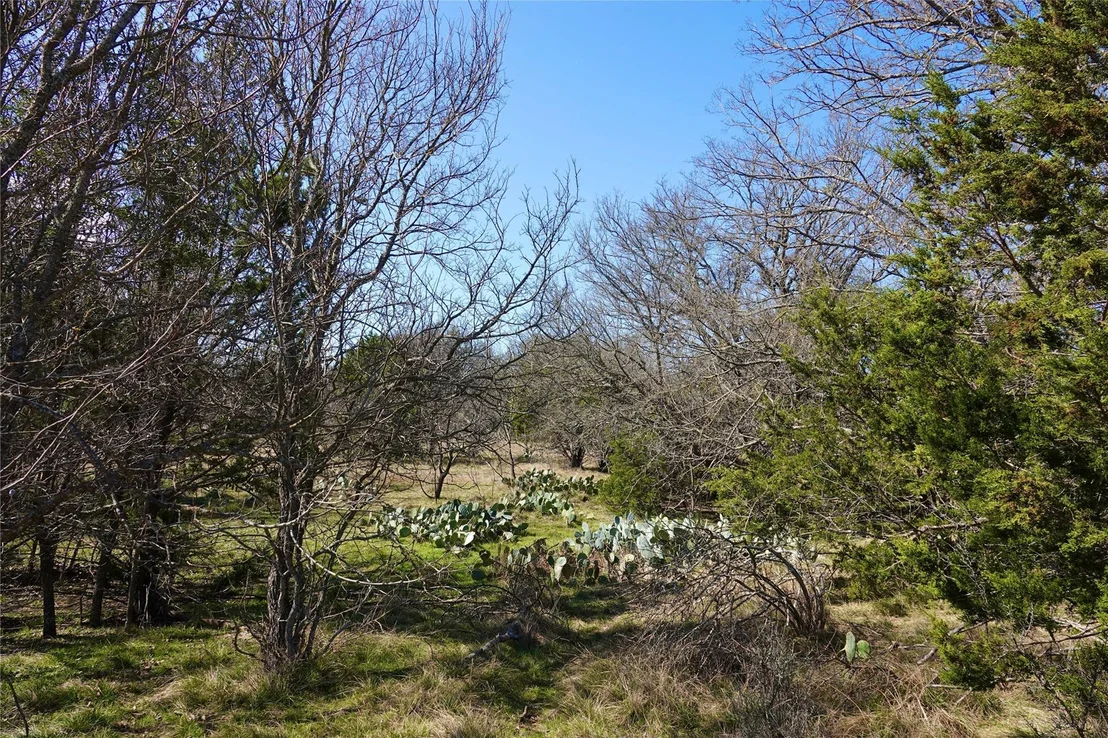 Photo of 981 W Hwy 84