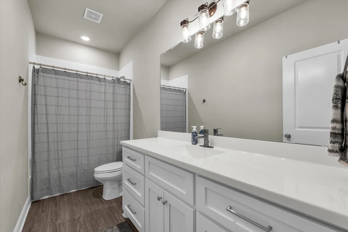 Photo of 132 Swan Lake
