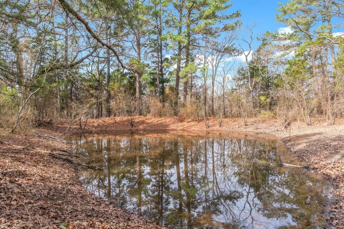 Photo of 8844 State Highway 19 N