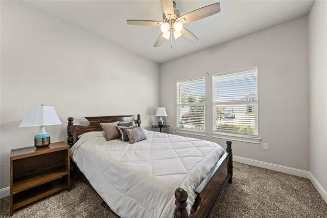 Photo of 225 Swan Lake