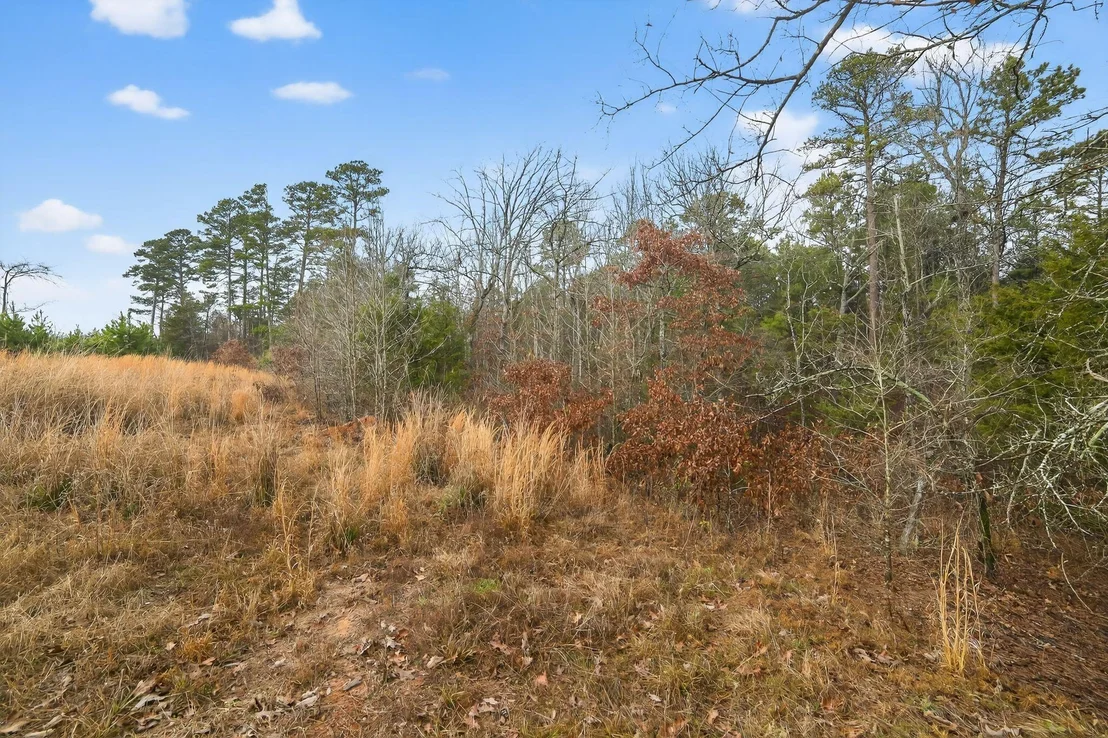 Photo of 868 County Road 2920