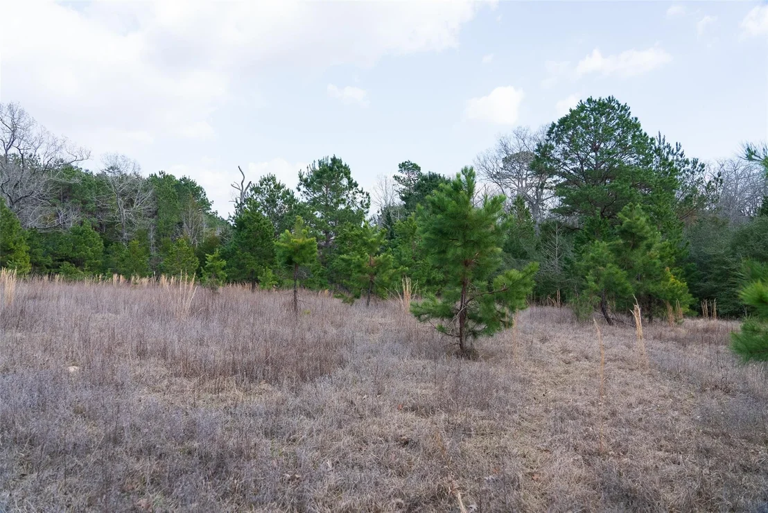 Photo of 9190 County Road 2136 N