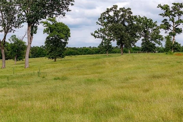Photo of 1114 County Road 1512