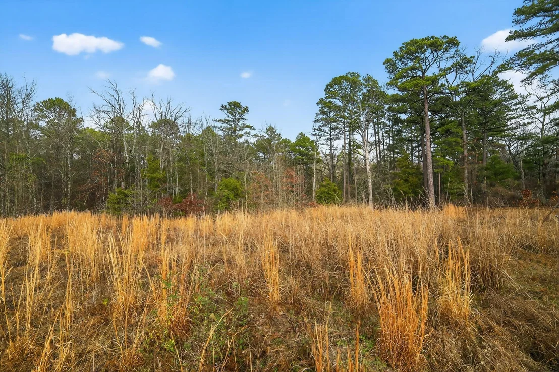 Photo of 868 County Road 2920