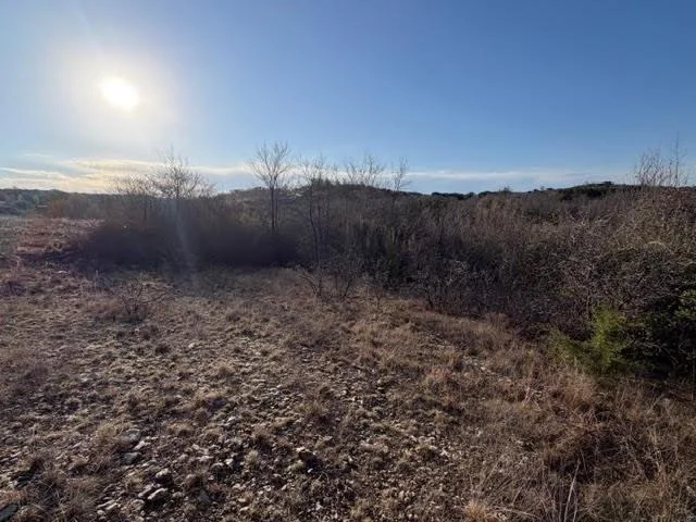 Photo of 2220 Canyon Wren Loop