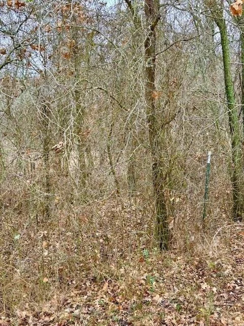 Photo of 702 County Road 3597