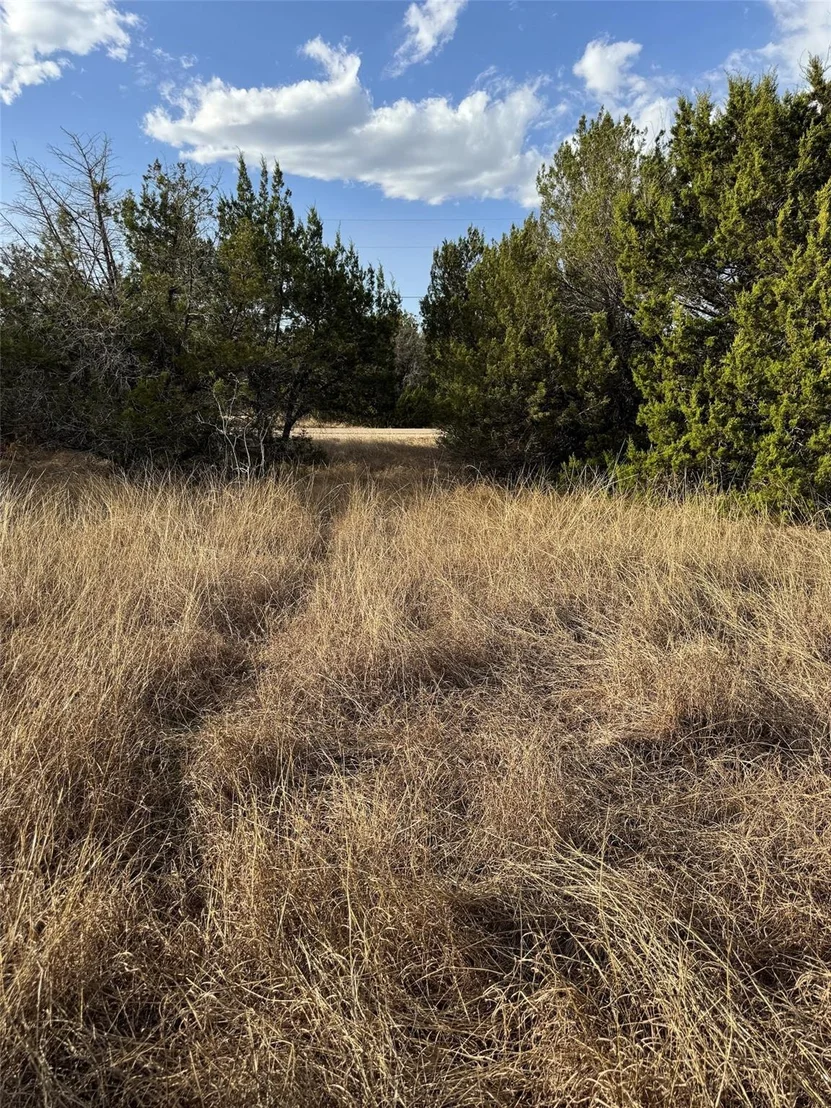 Photo of 32039 Dove Trail