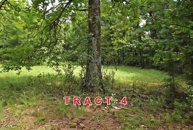 Photo of Tract 4 County Road 3117