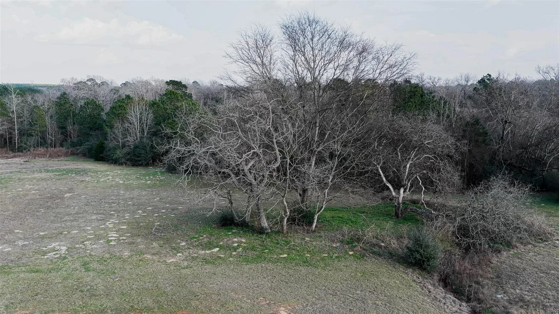 Photo of 9190 County Road 2136 N