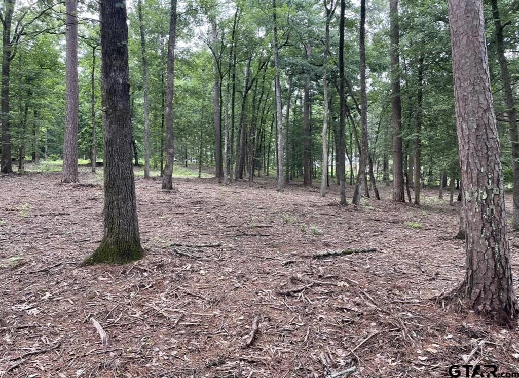 Photo of 1688 County Road 1597