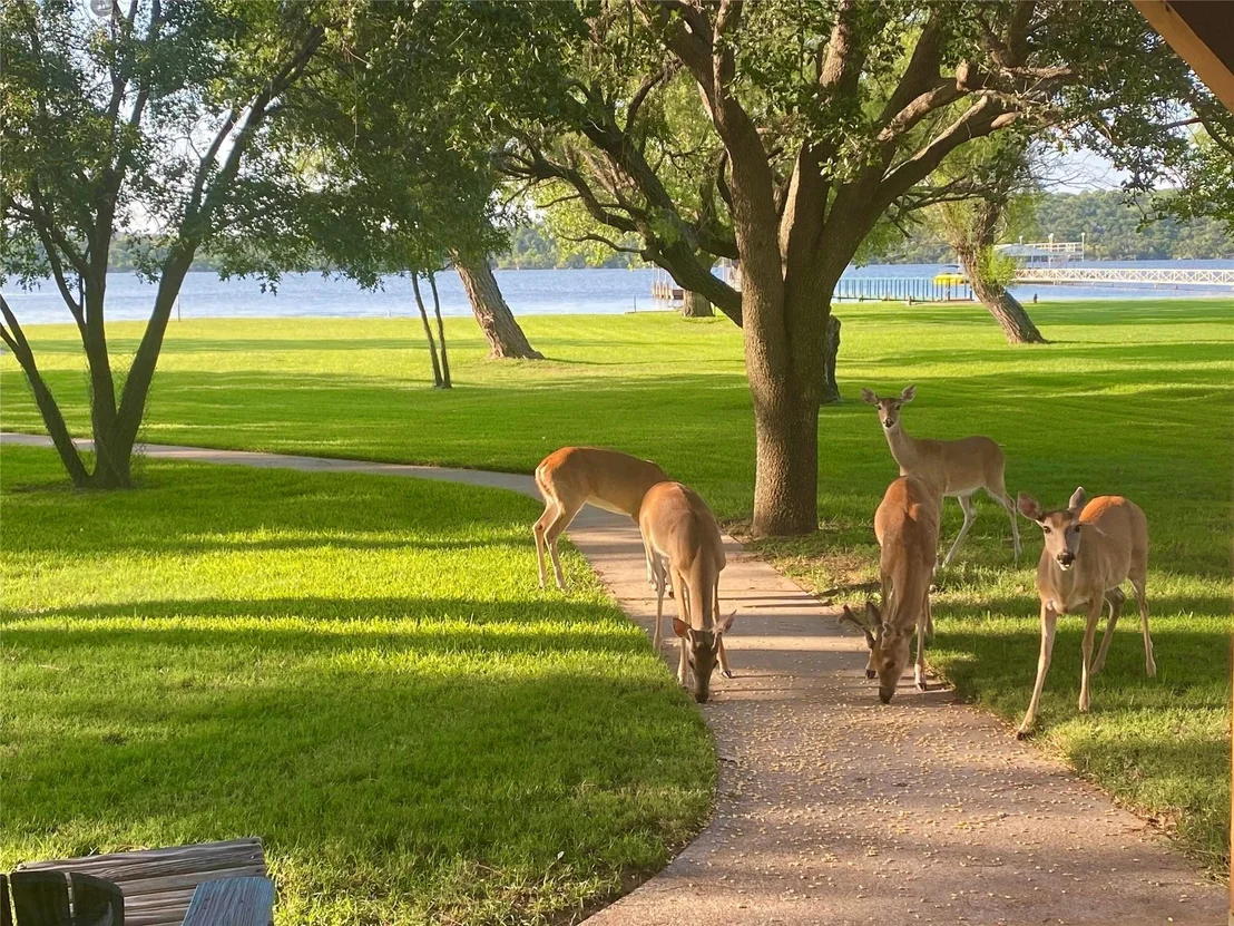 Photo of 1957 Deer Trail Road