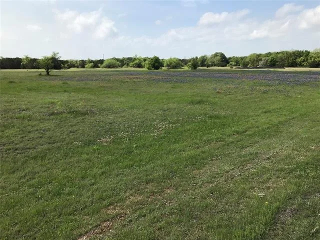 Photo of 1014 White Bluff Drive