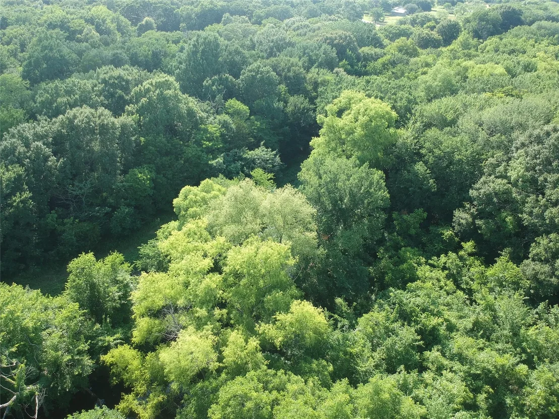 Photo of 19470 County Road 4072