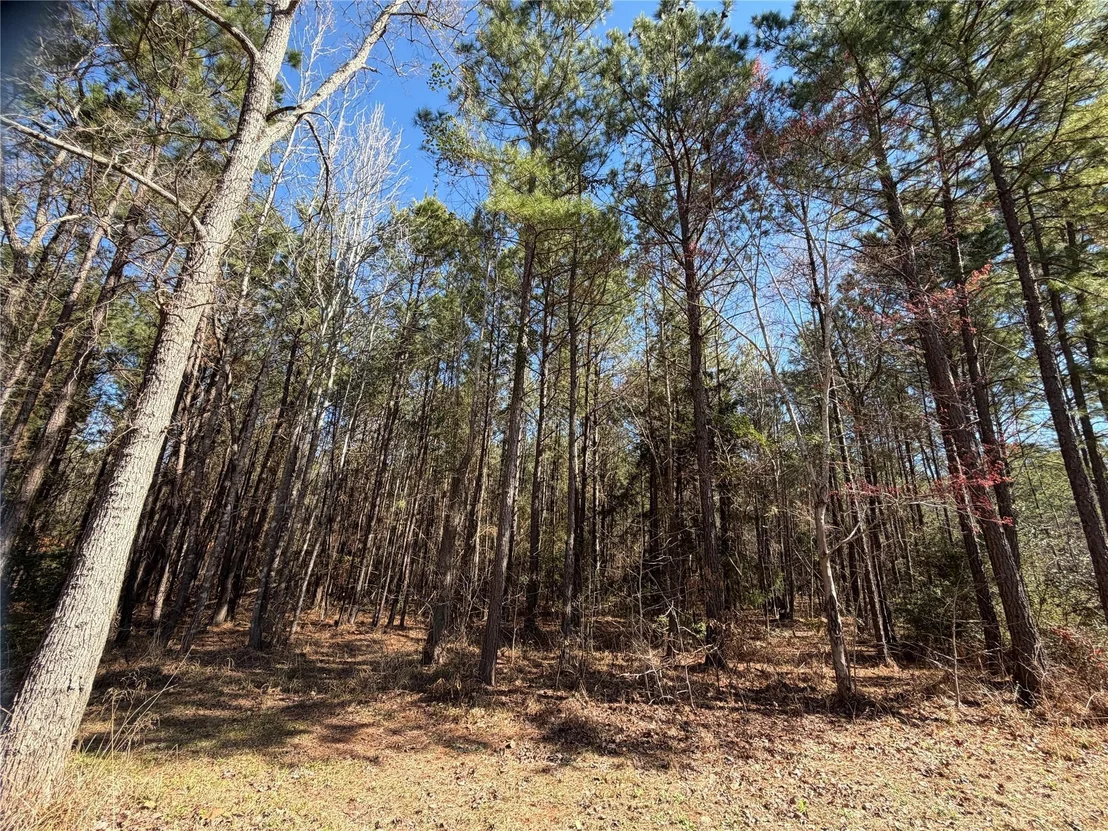 Photo of 805 County Road 3210