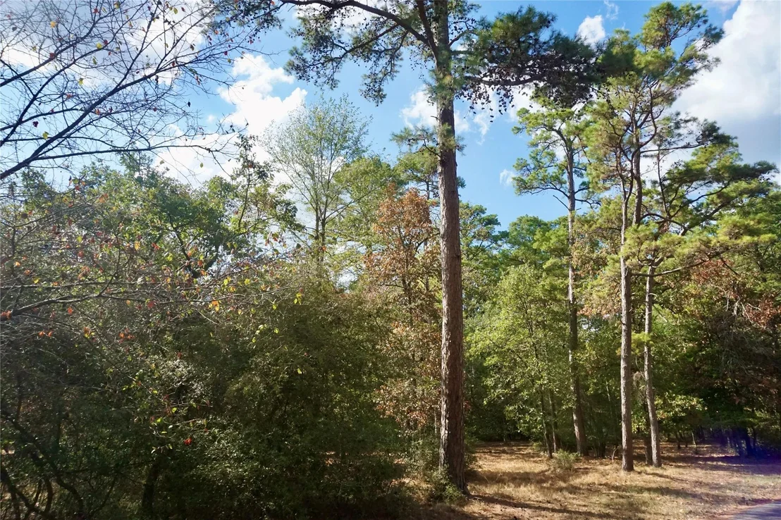 Photo of TBD Lot 146 (Evening Shadows Trail) Trail
