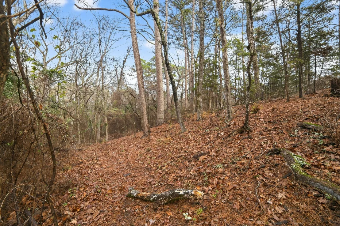 Photo of 868 County Road 2920