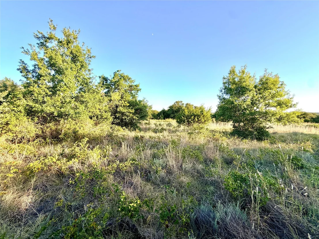 Photo of 37 Pr 224