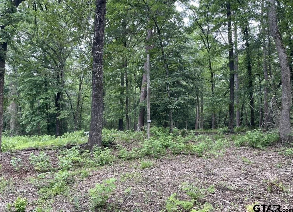 Photo of 1688 County Road 1597