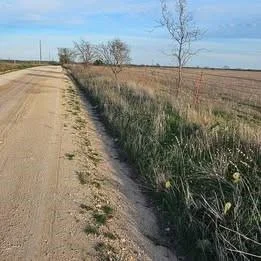 Photo of 1105 CR 611