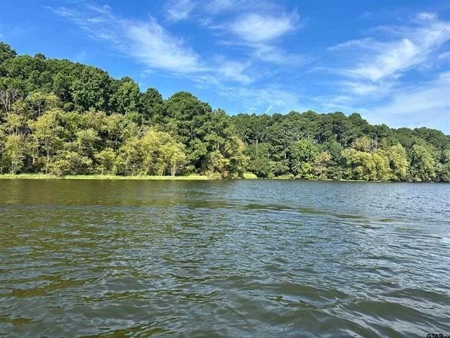 Photo of Lot 111 Oak River