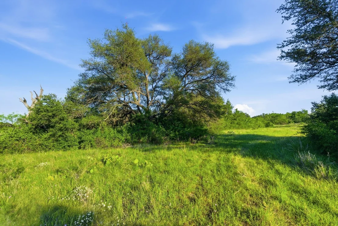Photo of 1343 County Road 188