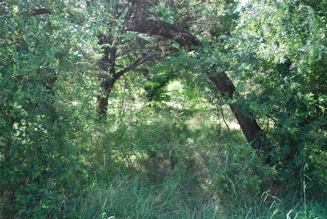 Photo of 1306 Overlook Drive