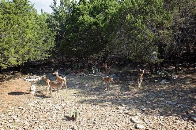 Photo of Unit 2 at 880 Cliffs Drive