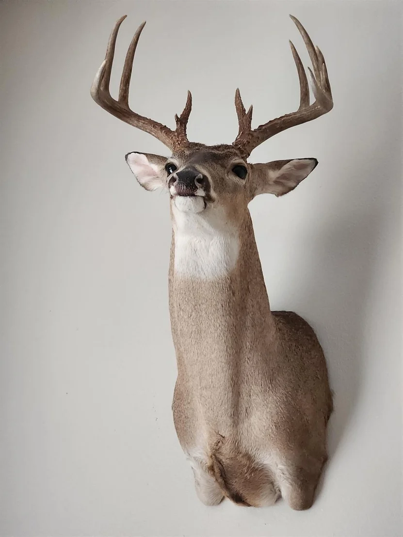Photo of 824 CR 409