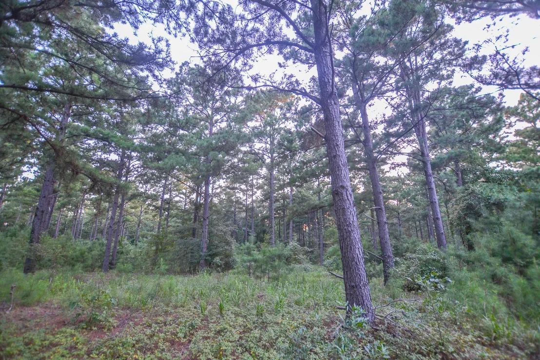 Photo of Tract 1 Hwy 155