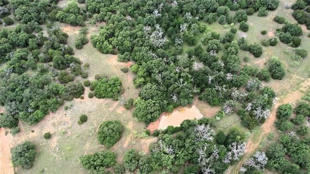 Photo of 2701 Live Oak Road