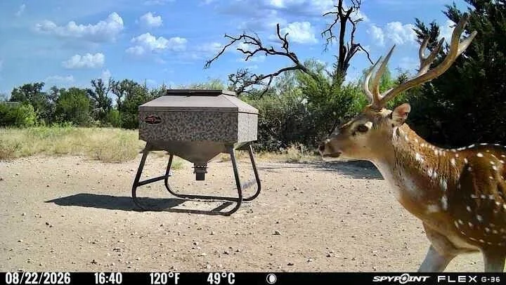 Photo of 267 County Road 112