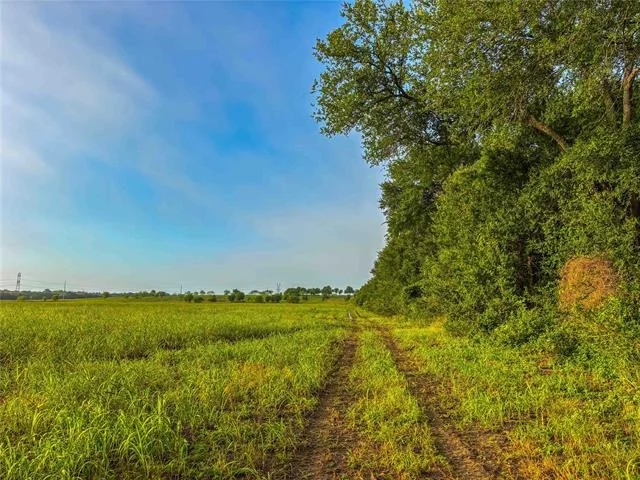 Photo of 524 County Road 453