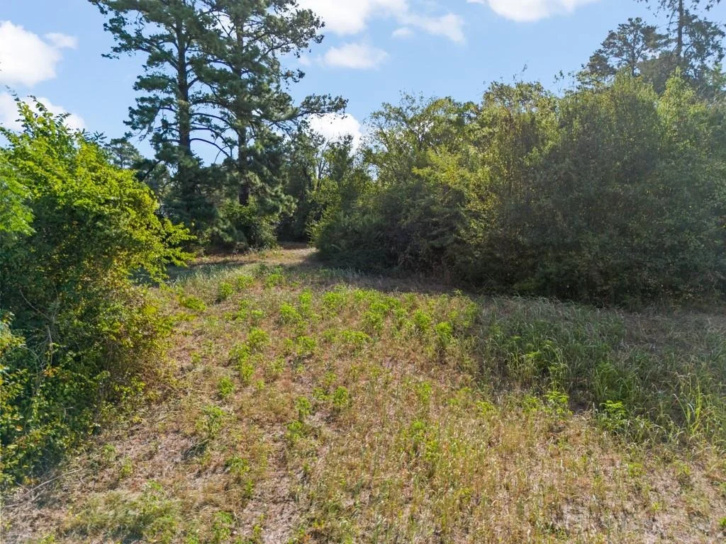 Photo of 3208 W Loop 281
