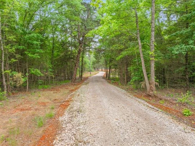 Photo of Unit TRACT1 at 16092 County Road 440