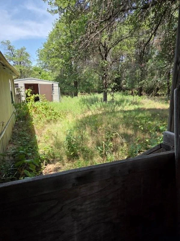 Photo of 1976 County Road 527