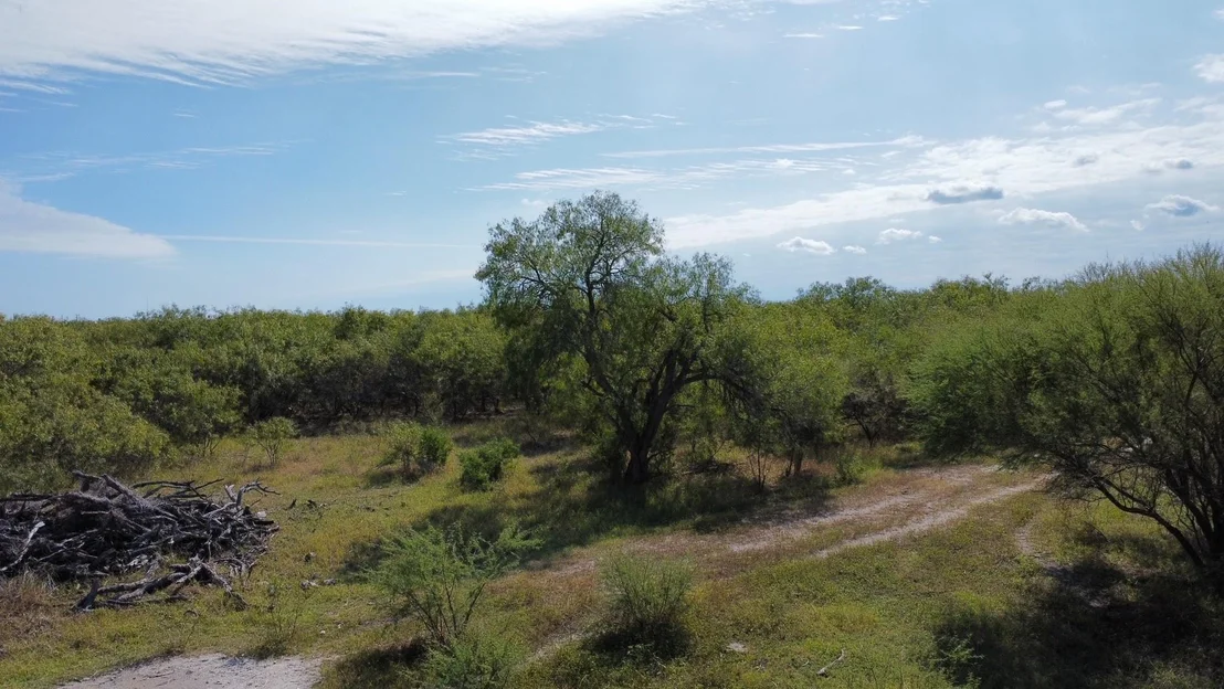 Photo of 14135 County Road 1144