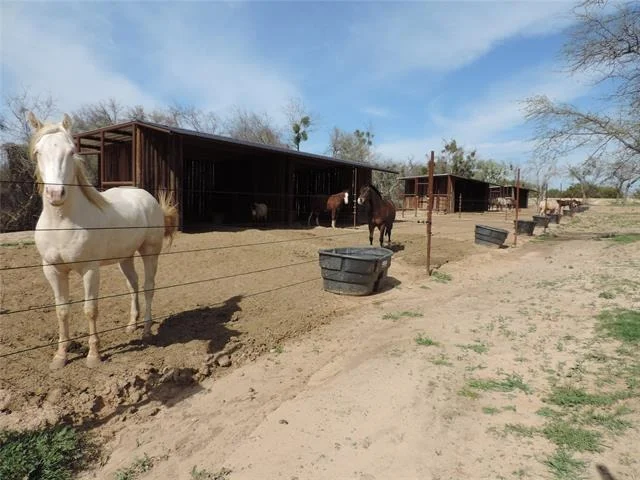 Photo of 1075 County Road 494