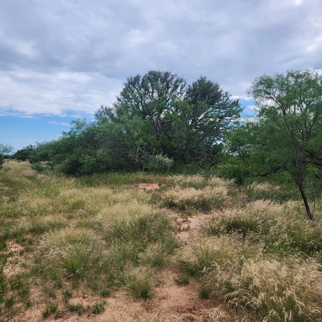 Photo of 824 CR 409