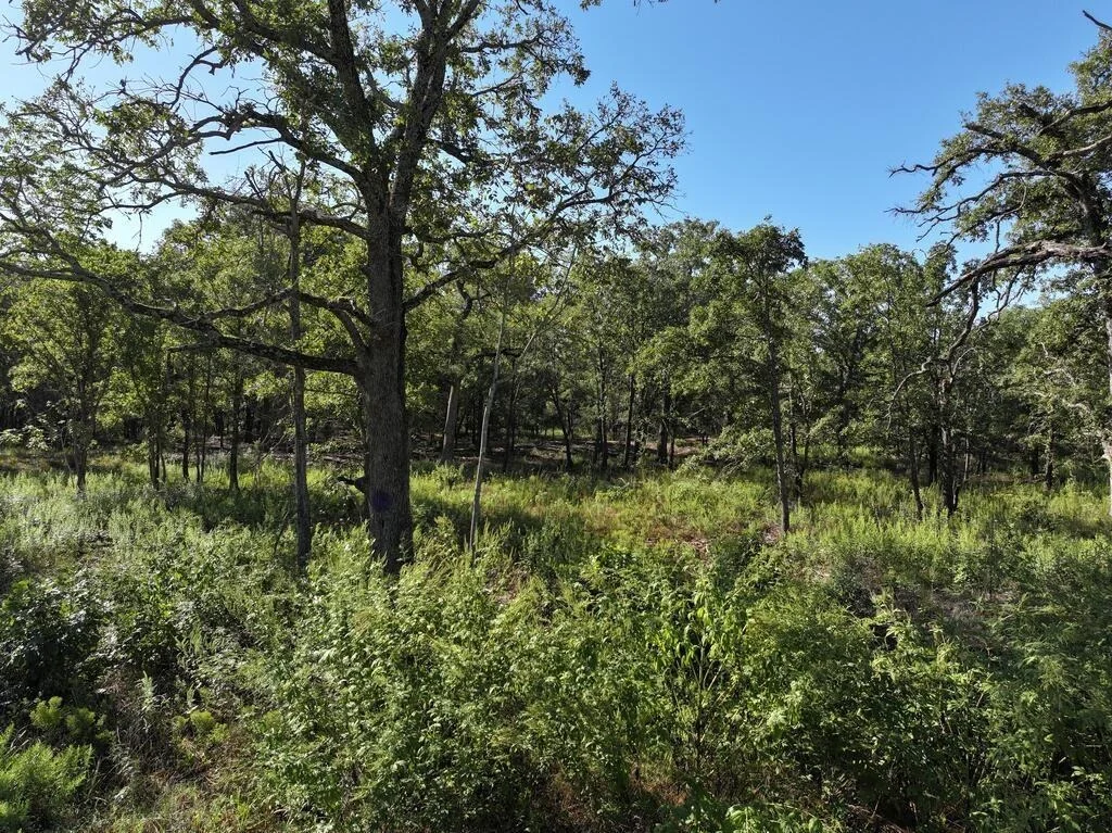 Photo of 8602 CR 2448