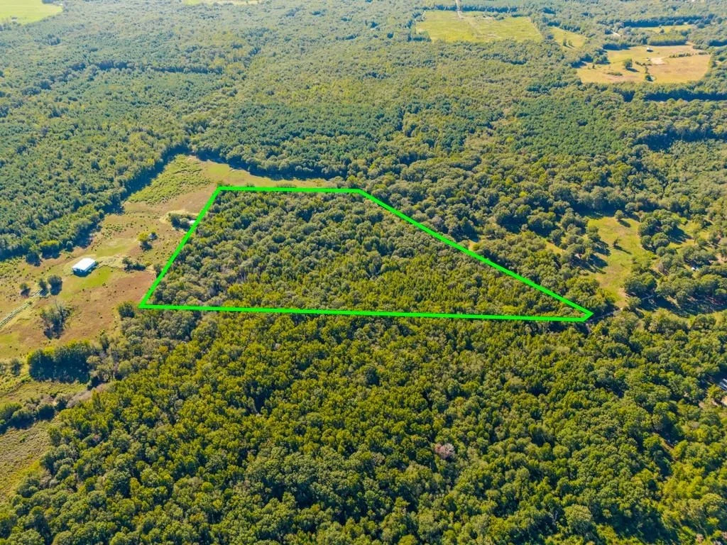 Photo of TBD County Road 3324, 24 Ac
