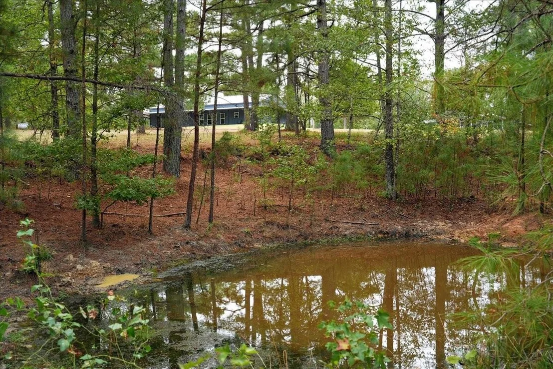 Photo of 448 County Road 3955