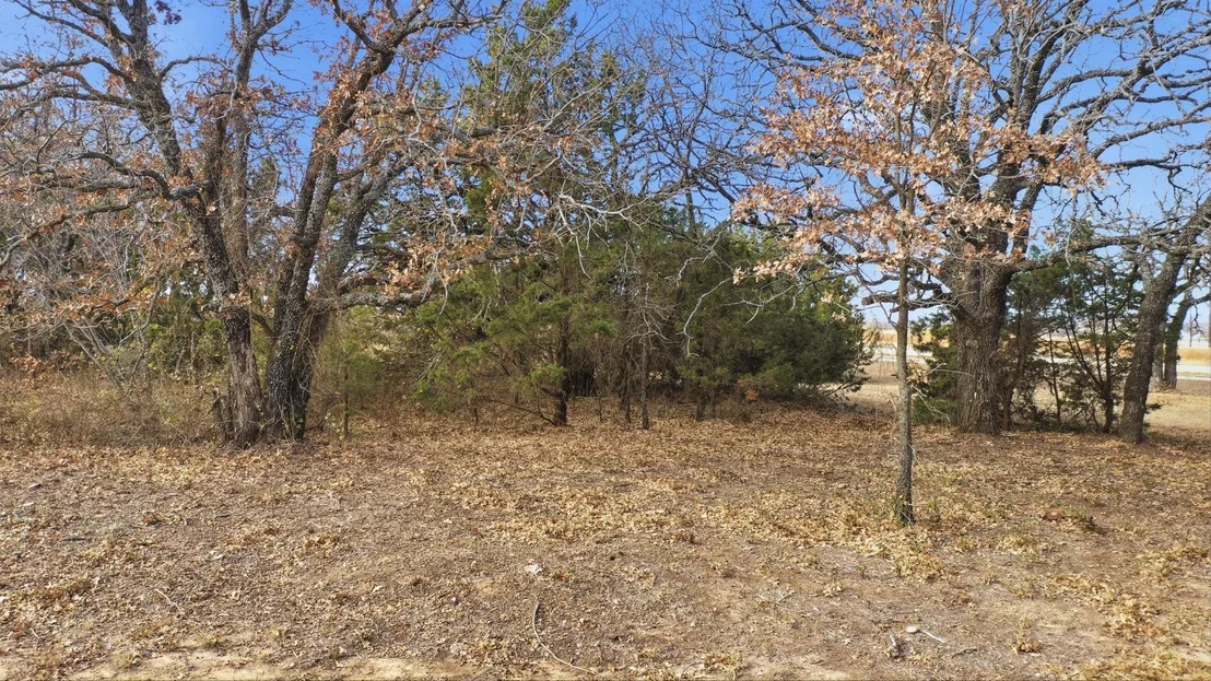 Photo of TBD Dps Tower
