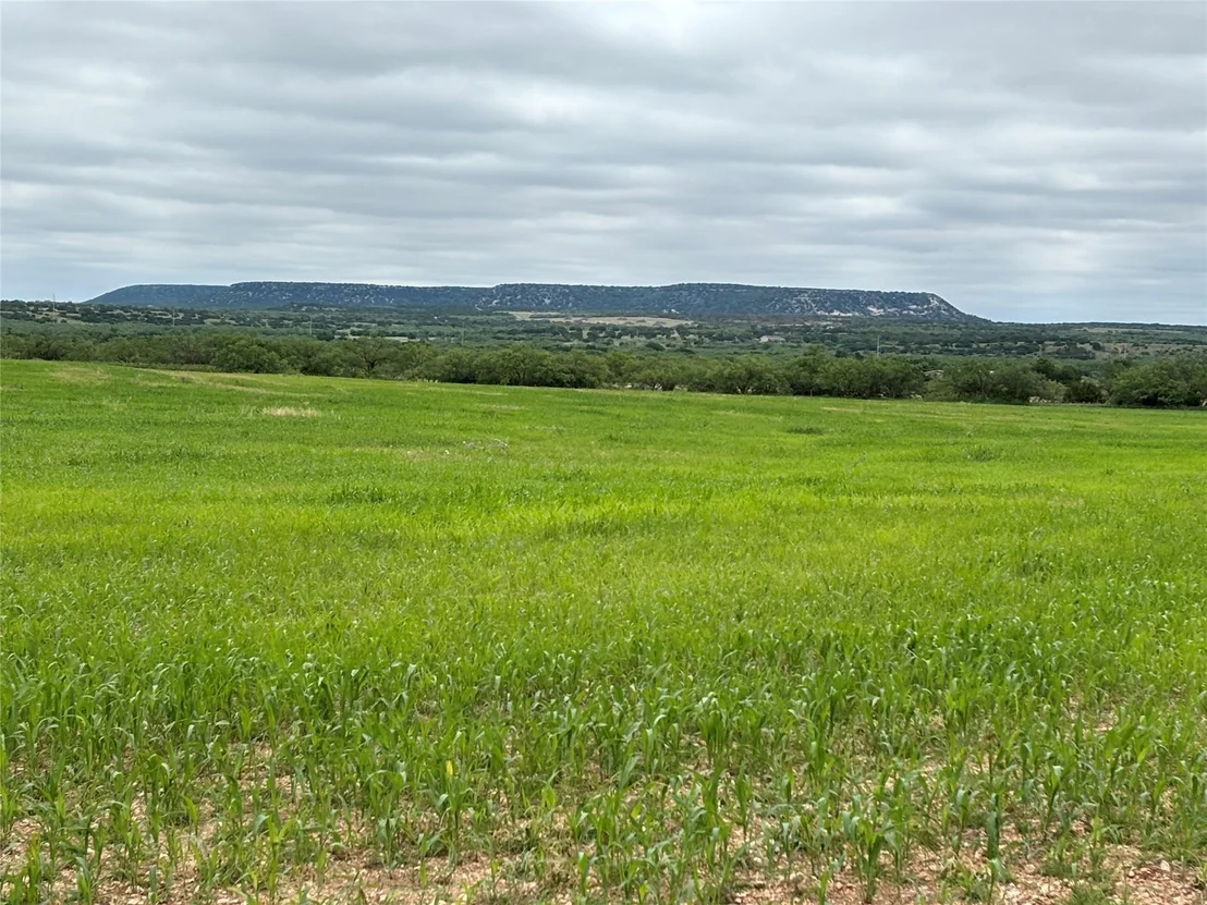 Photo of 202 County Road 312