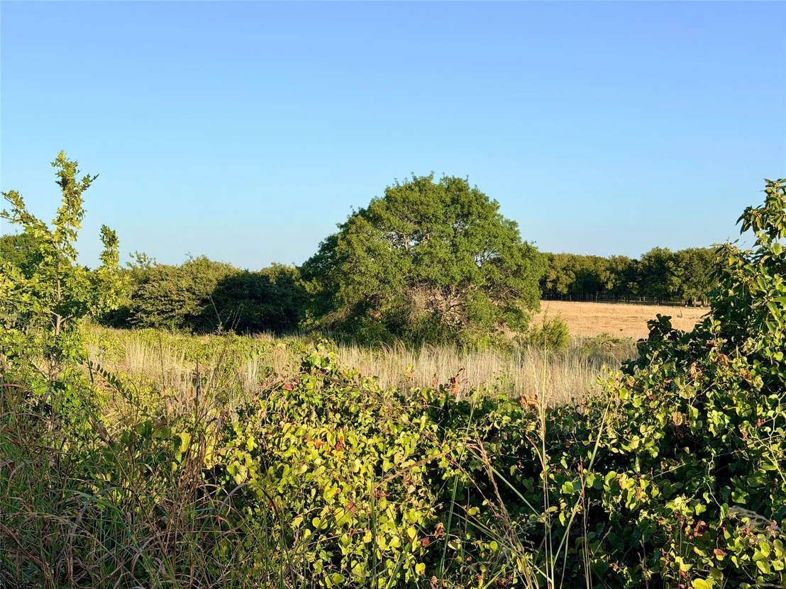 Photo of 37 Pr 224